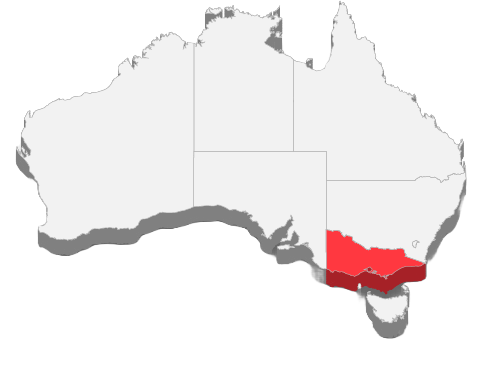 Managed IT Services Victoria
